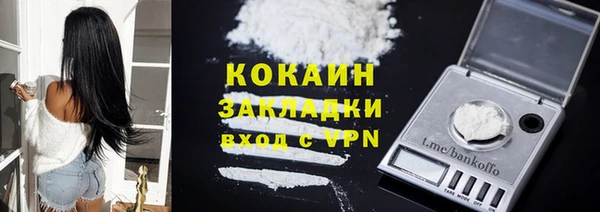 гидра Алексин