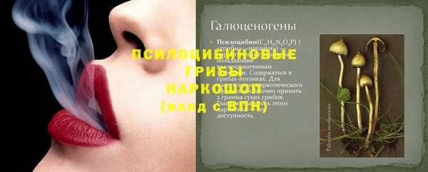 бошки Абаза