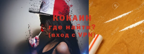 сатива Абинск