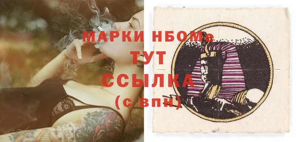 сатива Абинск