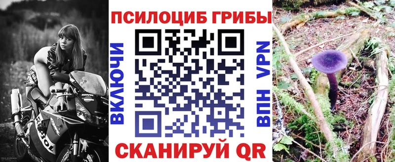 Галлюциногенные грибы Magic Shrooms  Нефтегорск 