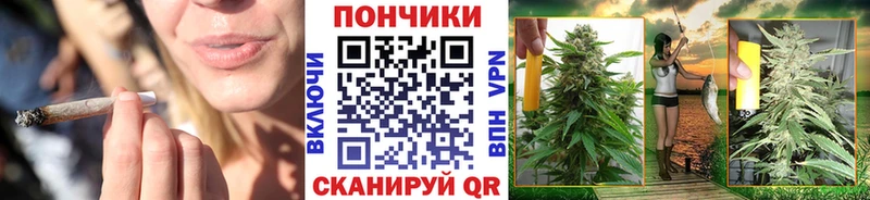 Бошки Шишки индика  Нефтегорск 